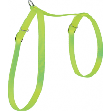 Zolux Adjustable Nylon Harness Lime Green, 546132ANI, cat Collar / Leash / Muzzle, Zolux, cat Accessories, catsmart, Accessories, Collar / Leash / Muzzle